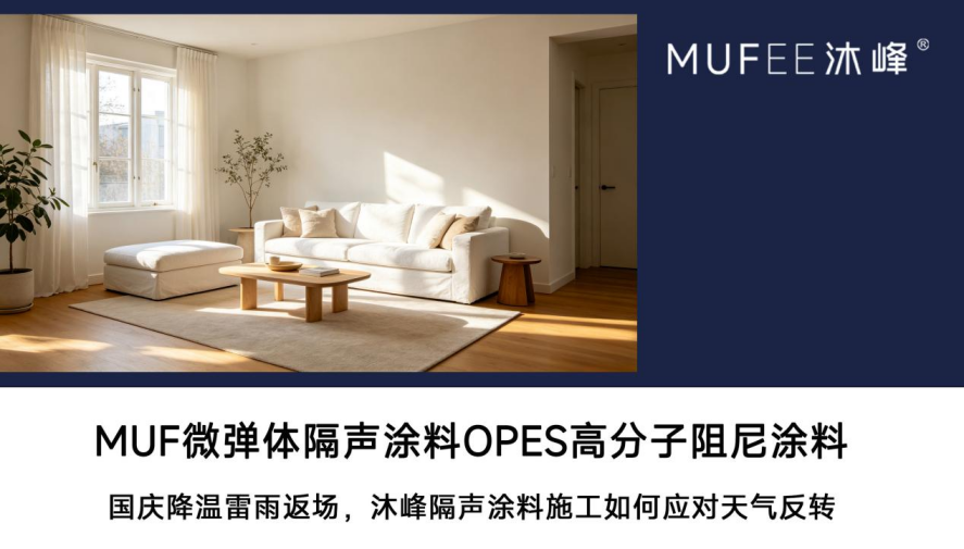 6ac5e81f24207.png